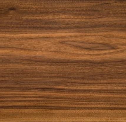 Black walnut grain, close